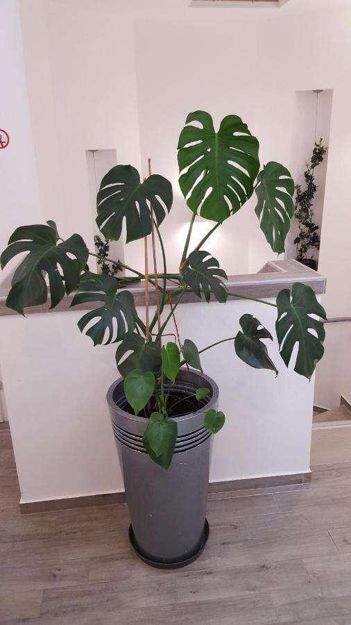 Centar Vodice Apartmani Екстер'єр фото